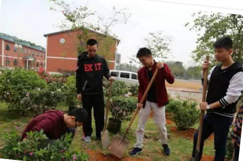 学生活动 | 红楼春色鲜,众人把花添