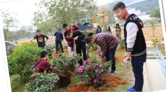 学生活动 | 红楼春色鲜,众人把花添